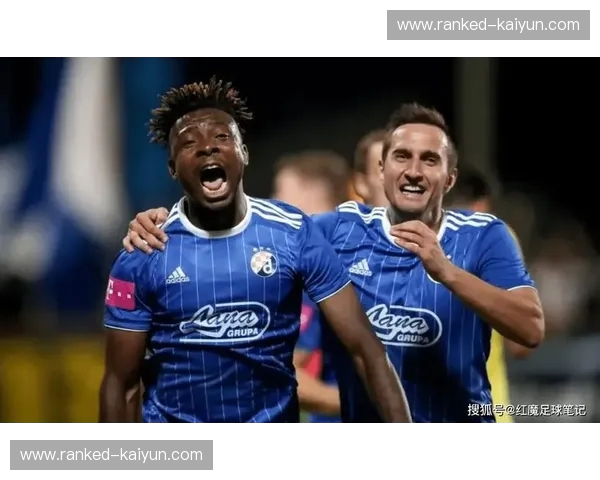 布加勒vs卢多戈：一场在绿茵场上燃烧的激情与荣耀之战